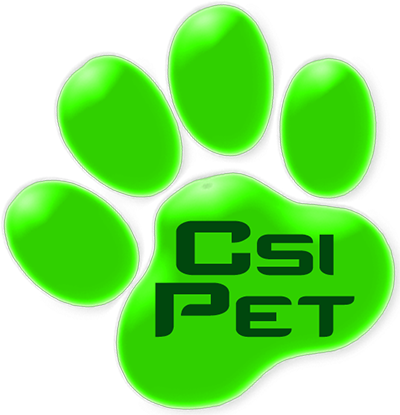 CSI Logo2