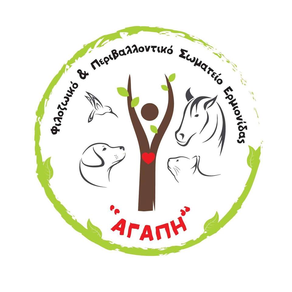 agapi logo