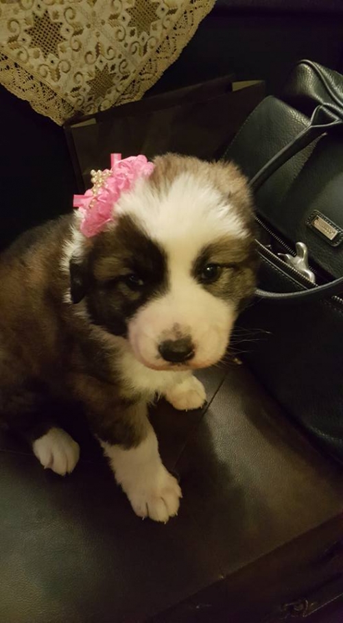 &Chi;ά&theta;&eta;&kappa;&epsilon; &kappa;&omicron;&upsilon;&tau;ά&beta;&iota; &mu;&pi;&epsilon;&zeta; &lambda;&epsilon;&upsilon;&kappa;ό