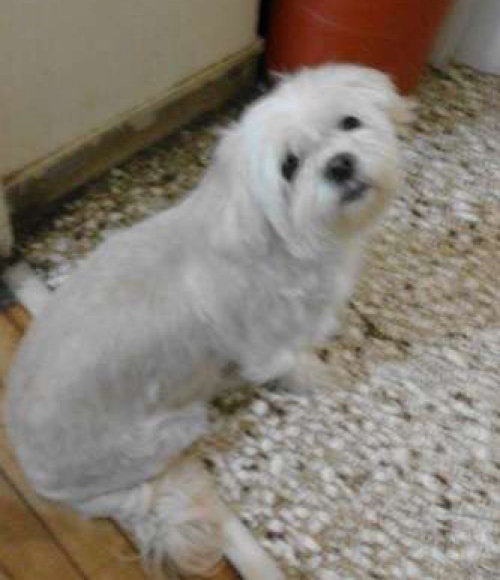 Χάθηκε στο Μεταξουργείο