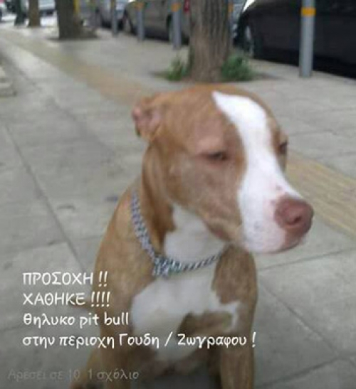 Χάθηκε στου Ζωγράφου