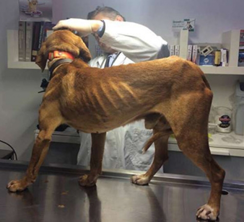 Χάθηκε στην Ανω Γλυφάδα