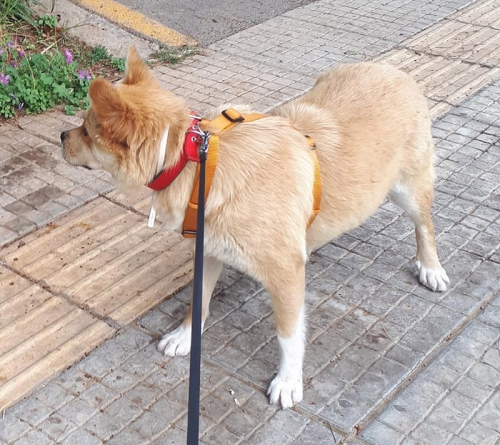 &Eta;&mu;ί&alpha;&iota;&mu;&omicron; &Alpha;&kappa;ί&tau;&alpha;