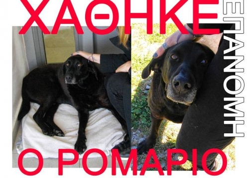 Χάθηκε Μαύρο σκυλάκι, Επανομή