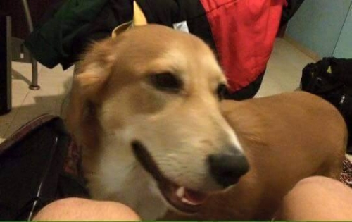 &Chi;ά&theta;&eta;&kappa;&epsilon; &eta;&mu;ί&alpha;&iota;&mu;&omicron; &Lambda;ά&mu;&pi;&rho;&alpha;&nu;&tau;&omicron;&rho;&iota;, &Theta;&epsilon;&sigma;&sigma;&alpha;&lambda;&omicron;&nu;ί&kappa;&eta;