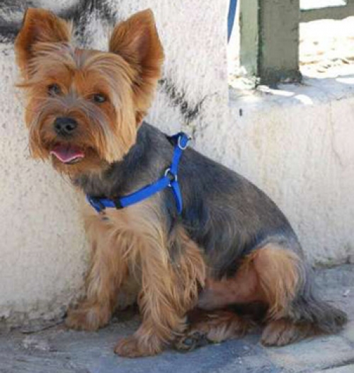 Χάθηκε στο Μεταξουργείο