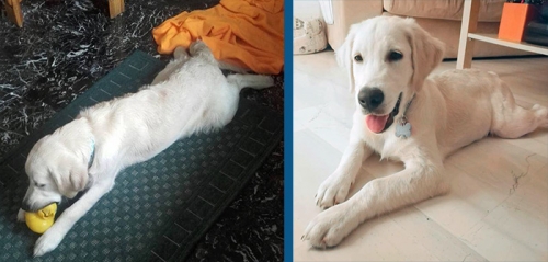 &Pi;ά&kappa;&omicron;