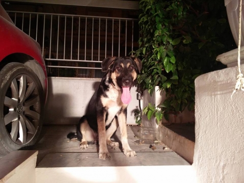 &Beta;&rho;έ&theta;&eta;&kappa;&epsilon; &sigma;&tau;&eta;&nu; &Kappa;ά&nu;&tau;&zeta;&alpha; &Pi;&alpha;&lambda;&lambda;ή&nu;&eta;&sigmaf;