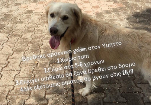 &Beta;&rho;έ&theta;&eta;&kappa;&epsilon; &sigma;&kappa;ύ&lambda;&omicron;&sigmaf; &Gamma;&kappa;ό&lambda;&nu;&tau;&epsilon;&nu; &Rho;&iota;&tau;&rho;ί&beta;&epsilon;&rho;, &Upsilon;&mu;&eta;&tau;&tau;ό&sigmaf;