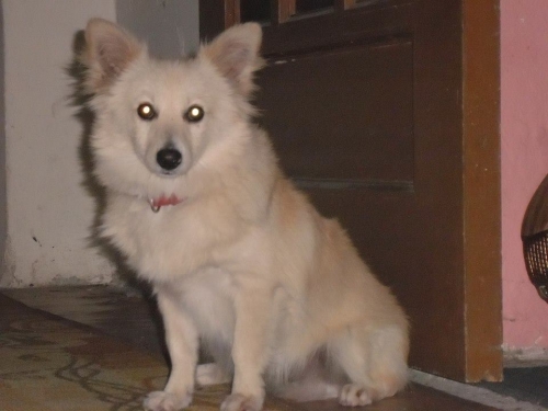 &Chi;ά&theta;&eta;&kappa;&epsilon; &eta;&mu;ί&alpha;&iota;&mu;&omicron; &pi;&omicron;&mu;&epsilon;&rho;ά&nu;&iota;&alpha;&nu;