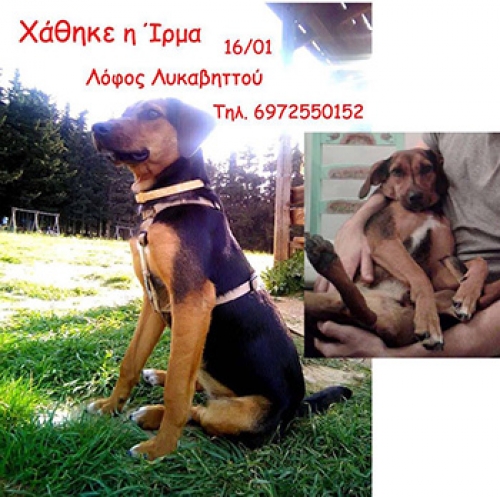 &Chi;ά&theta;&eta;&kappa;&epsilon; &sigma;&tau;&omicron; &Lambda;&upsilon;&kappa;&alpha;&beta;&eta;&tau;&tau;&omicron;