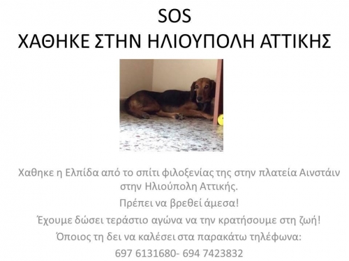 &Chi;ά&theta;&eta;&kappa;&epsilon; &Sigma;&kappa;ύ&lambda;&omicron;&sigmaf;, &theta;&eta;&lambda;&upsilon;&kappa;ό &eta;&mu;ί&alpha;&iota;&mu;&omicron;, &Eta;&lambda;&iota;&omicron;ύ&pi;&omicron;&lambda;&eta;